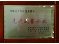 先進民營企業(yè)