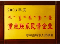 重點民營企業(yè)